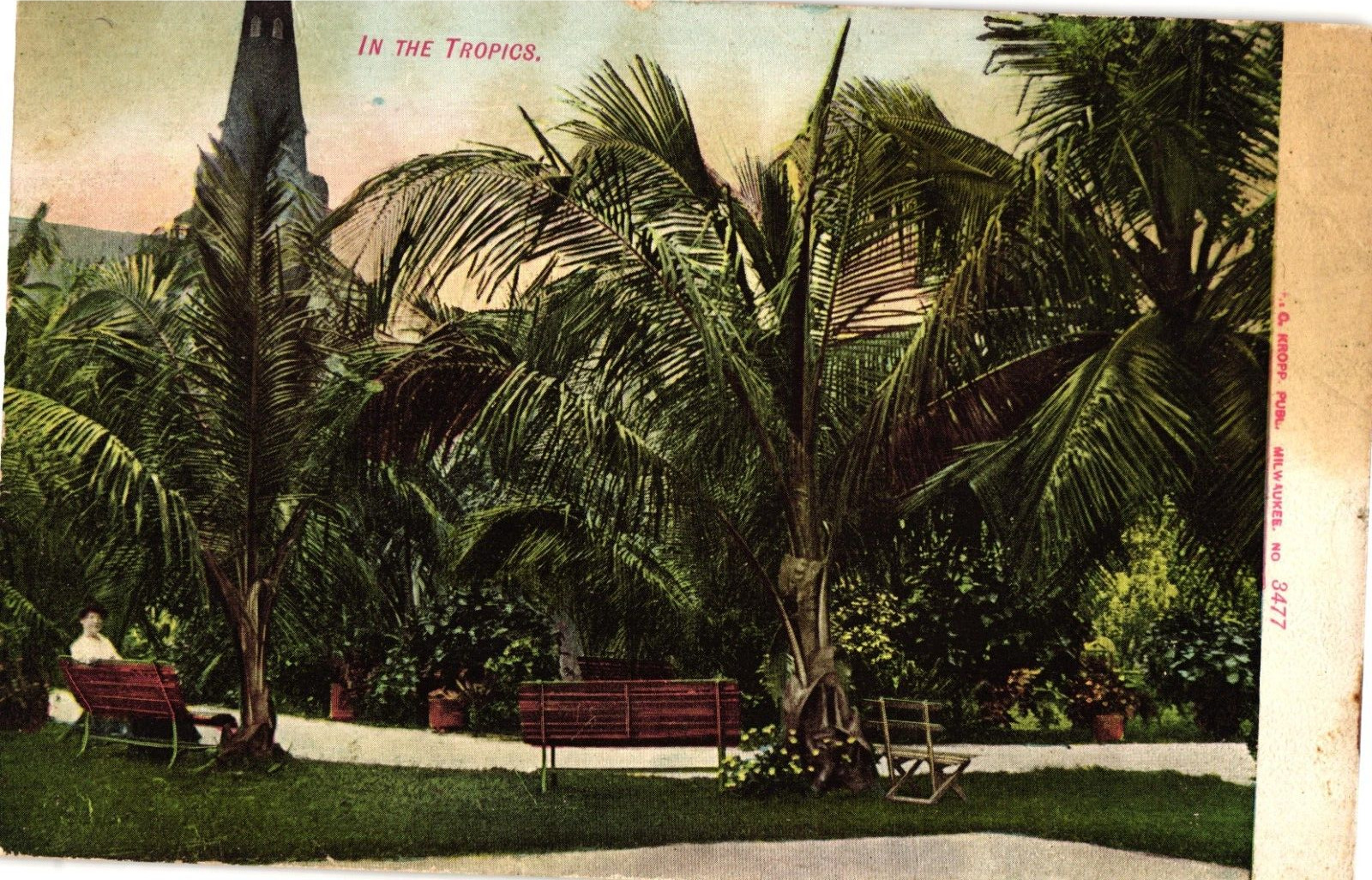 In the Tropics Undivided Unposted Postcard c1905