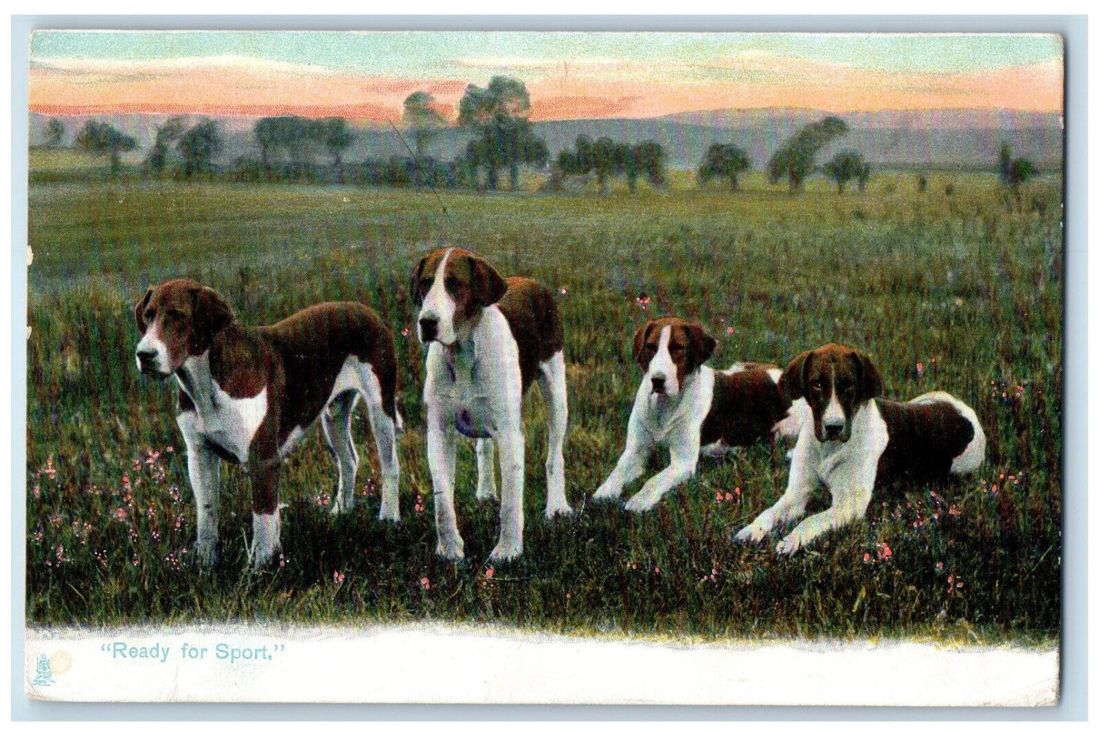 London Postcard Four Foxhounds Standing Sitting 1905 Photochrome Tuck Dogs