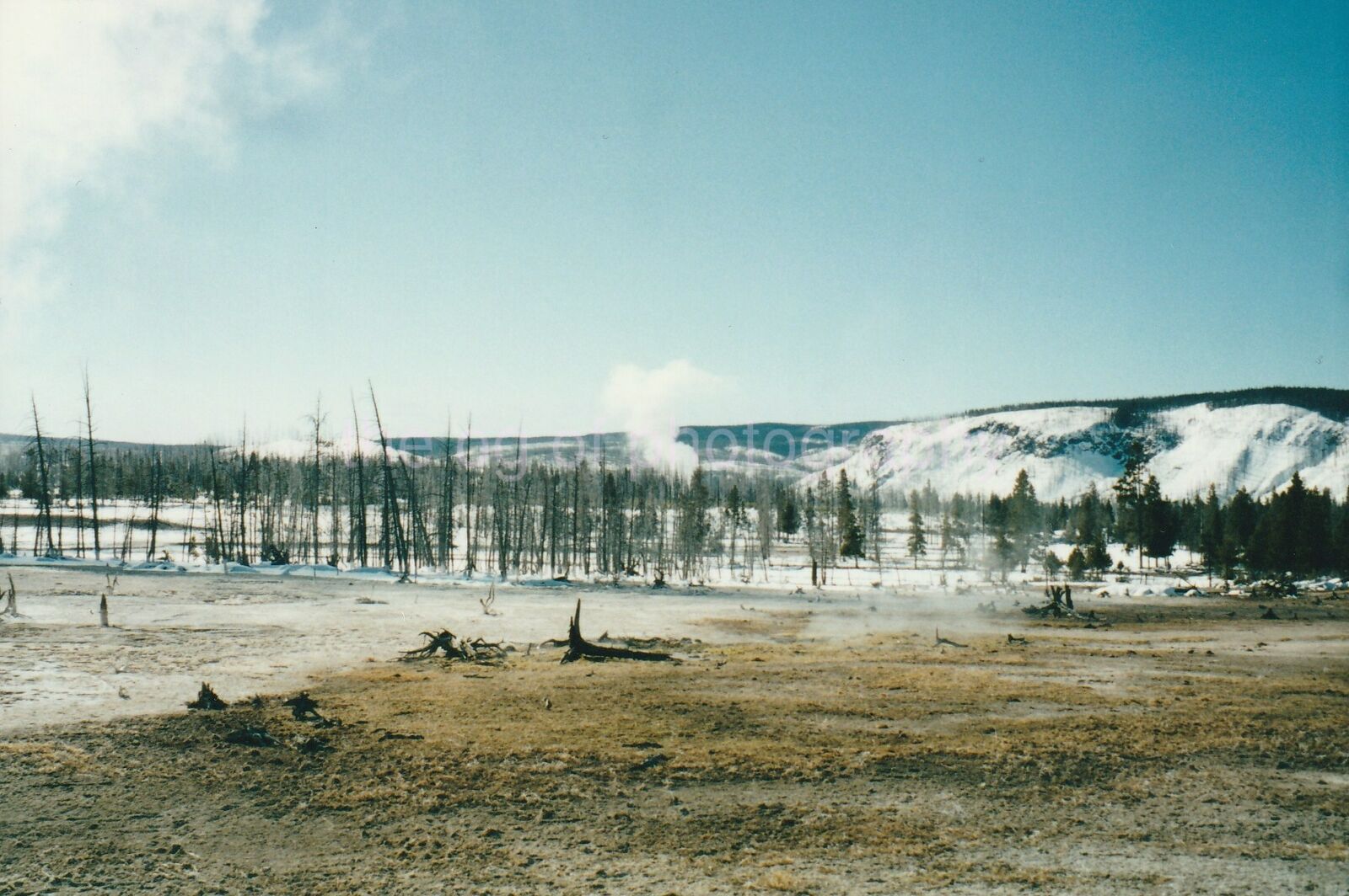 Yellowstone Winter FOUND PHOTOGRAPH Color  Original Snapshot 93 4 H
