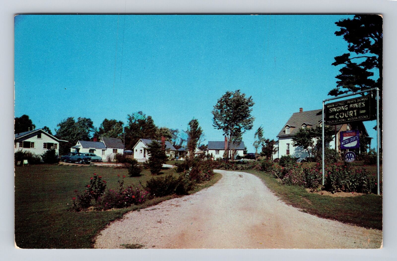 Nashville IN-Indiana, Singing Pines Court, Advertisement, Vintage Postcard