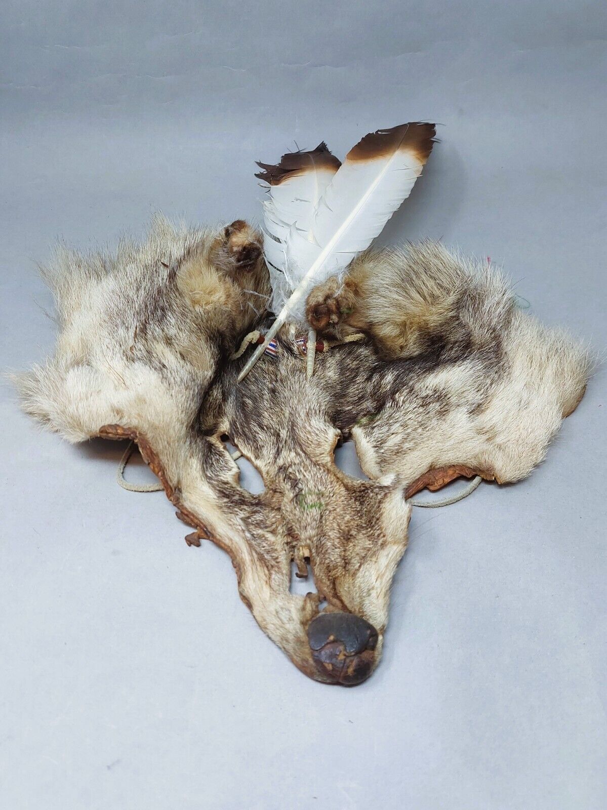 Vintage Dance Wolf or Coyote Headdress or Mask with Feathers