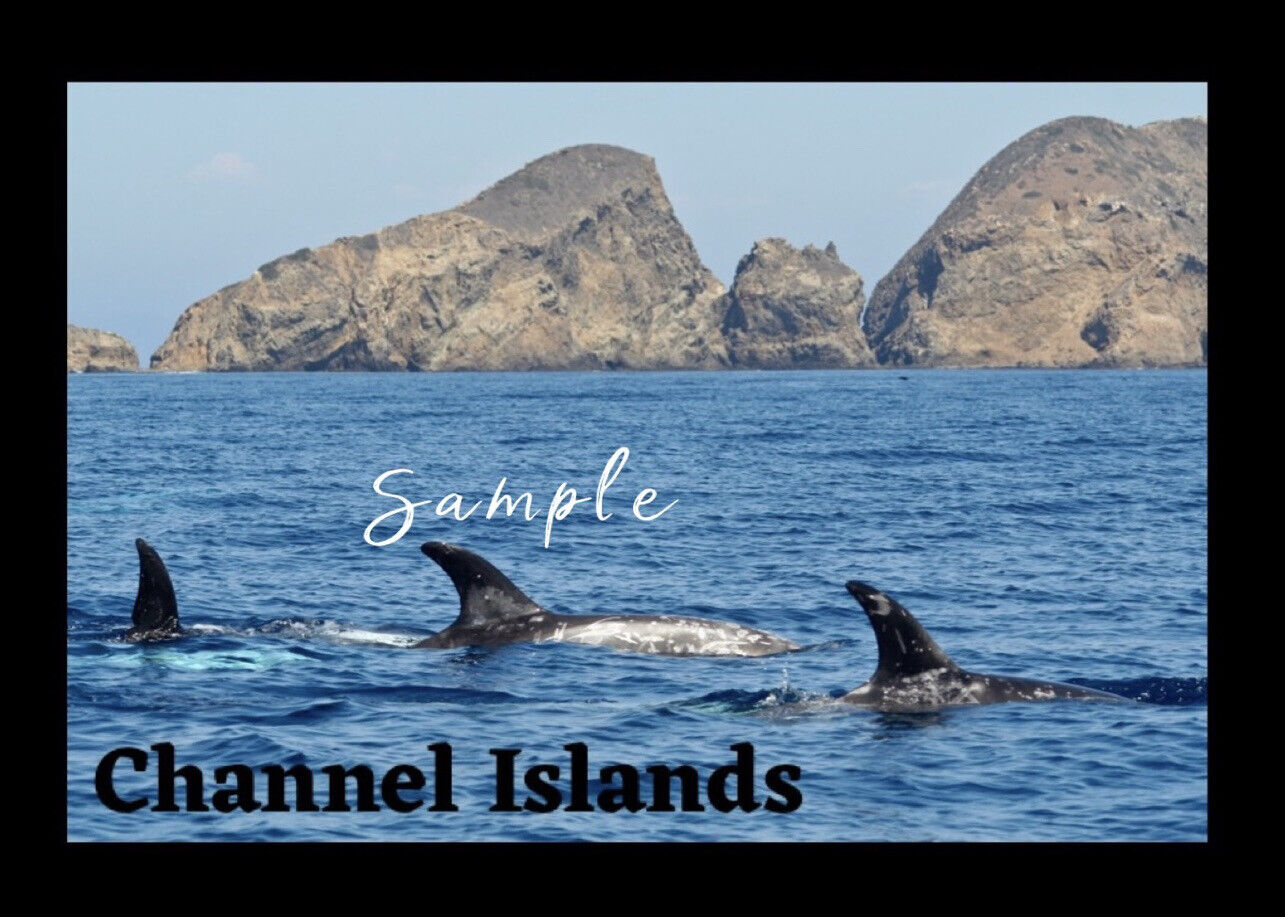 Channel Islands National Park California Flexible Fridge Magnet -BL73