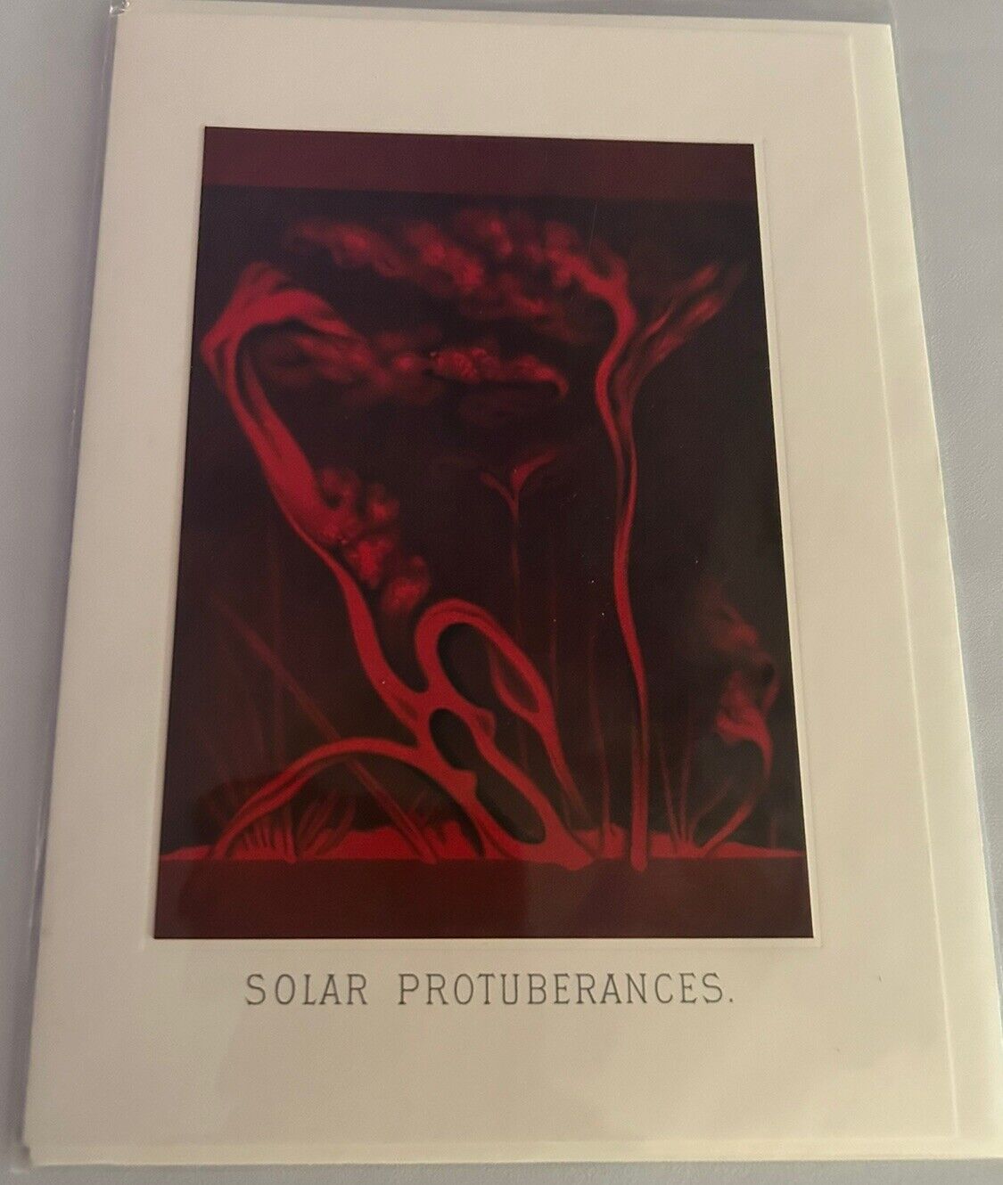 Museum of Jurassic Technology Solar Protuberances Card With Envelope