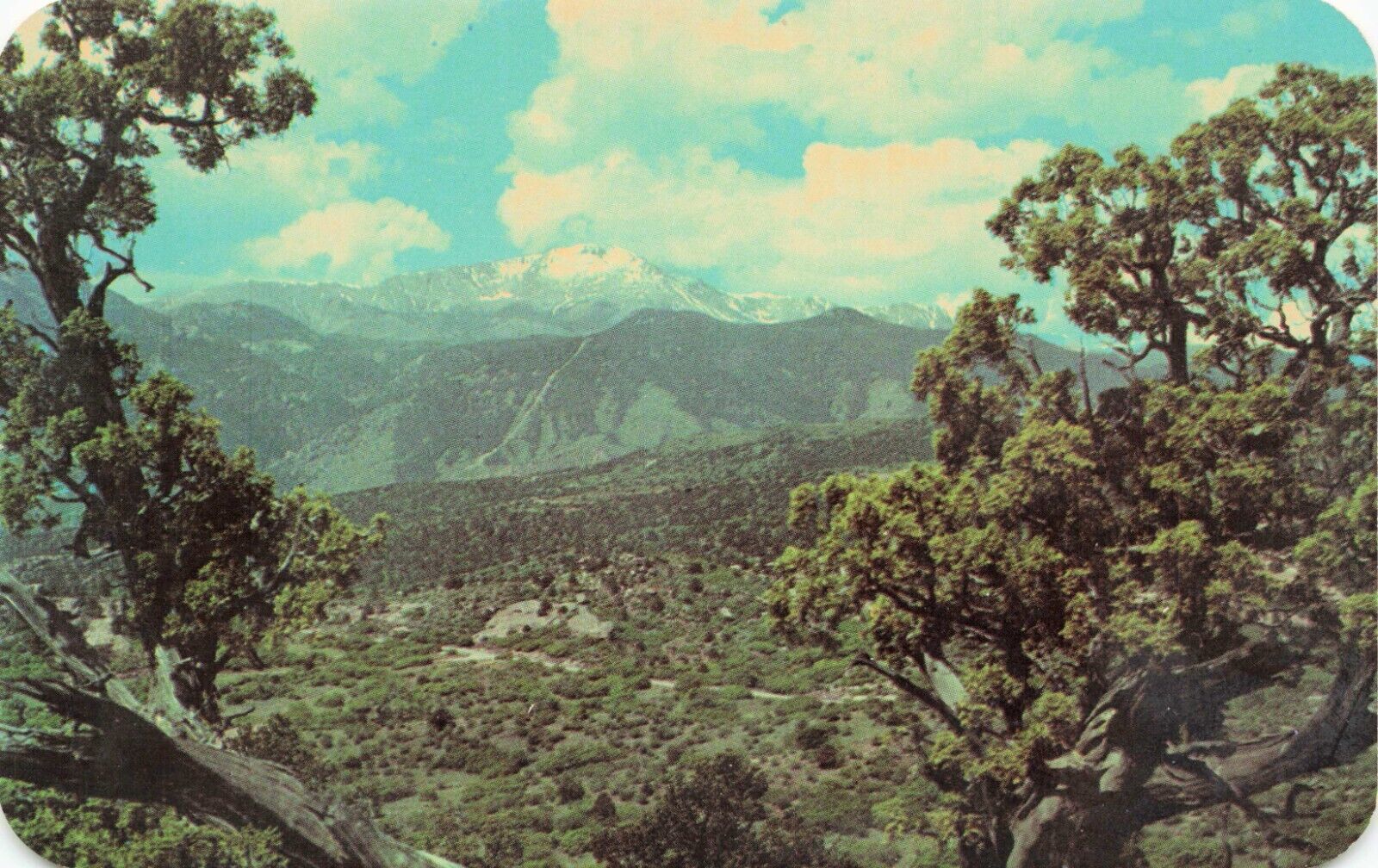 Postcard Pikes Peak Garden Of The Gods Pikes Peak  Colorado Rounded Corners