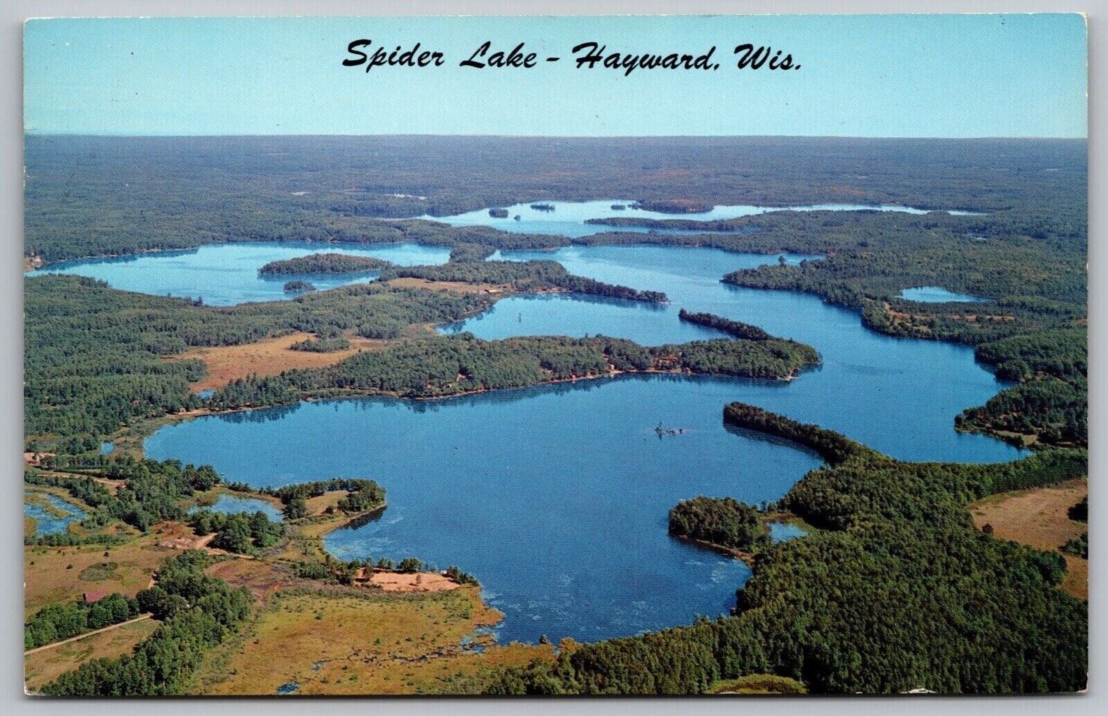 Spider Lake Hayward Wisconsin Aerial View Lakefront Forest WOB Vintage Postcard