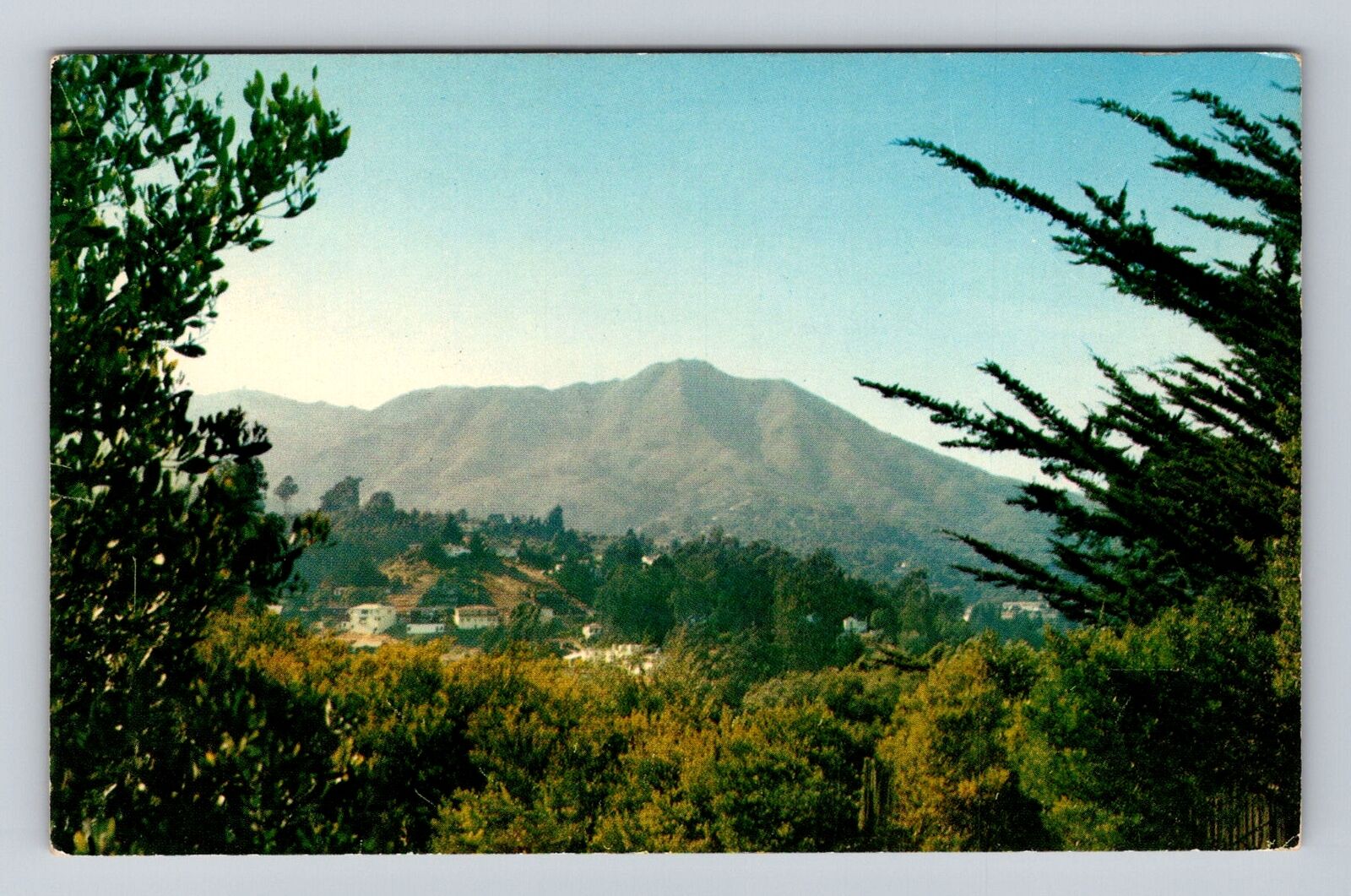 CA-California, Mount Tamalpais, Antique, Vintage Souvenir Postcard