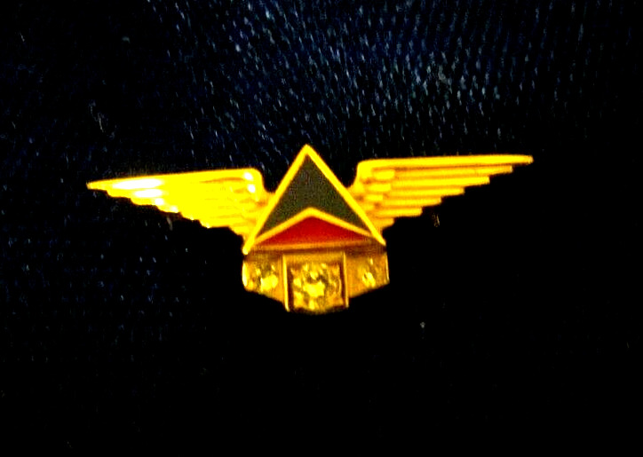 Delta airlines 35 years employee service award pin, w 3  diamonds? marked 10k