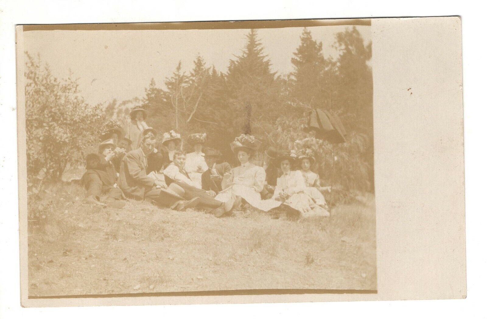 Postcard RPPC Family In the Woods Antique