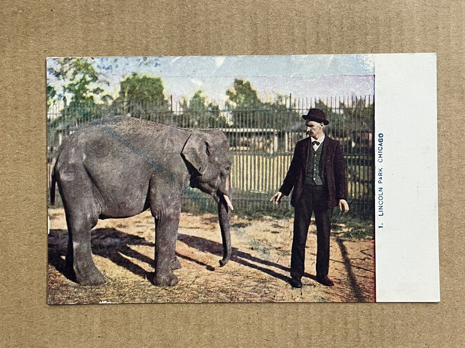 Postcard Chicago IL Illinois Elephant Lincoln Park Zoo Vintage PC