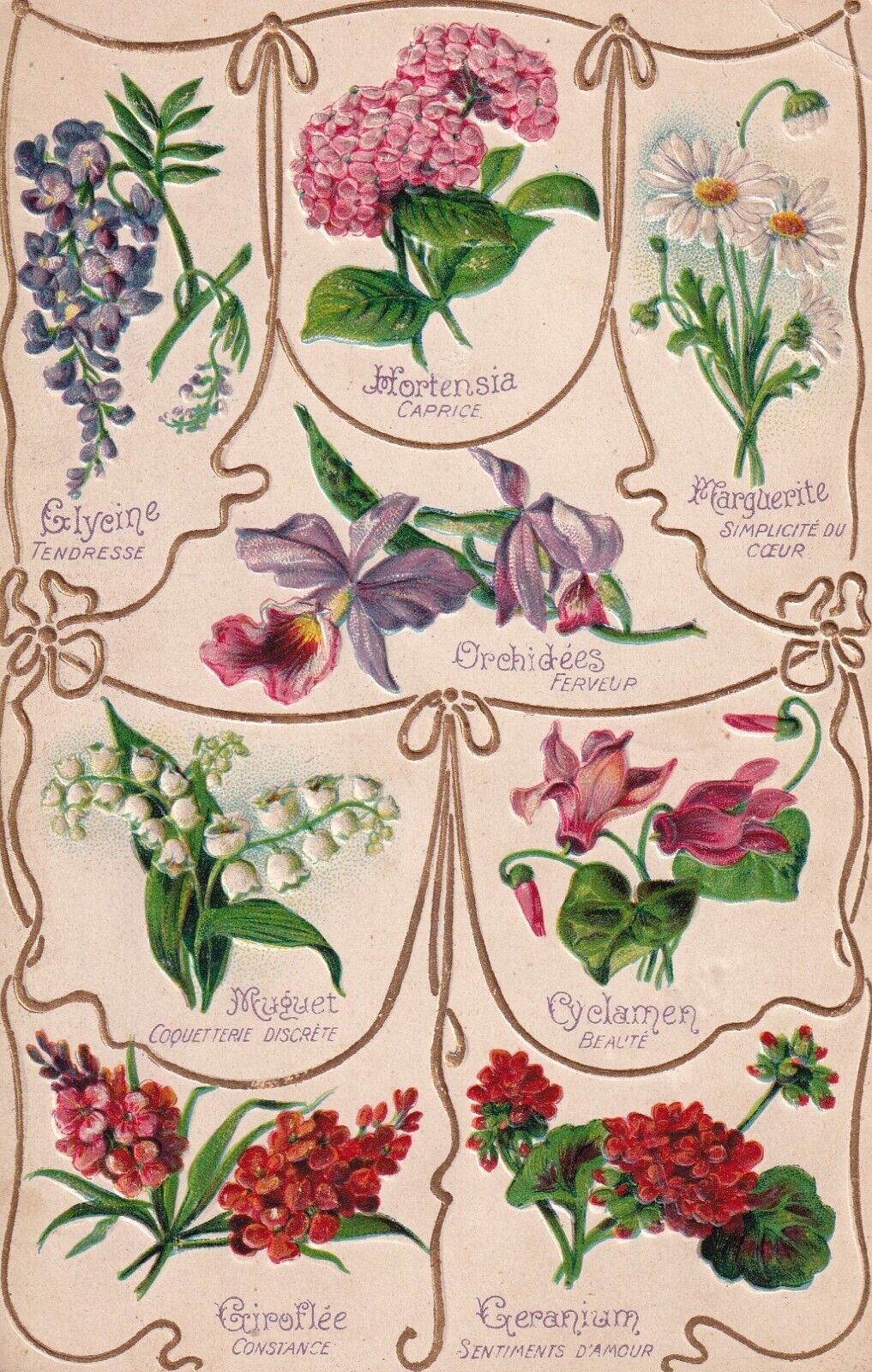 Vintage French Themed Flower Varieties Early 1900's Postcard Botanical Orchids