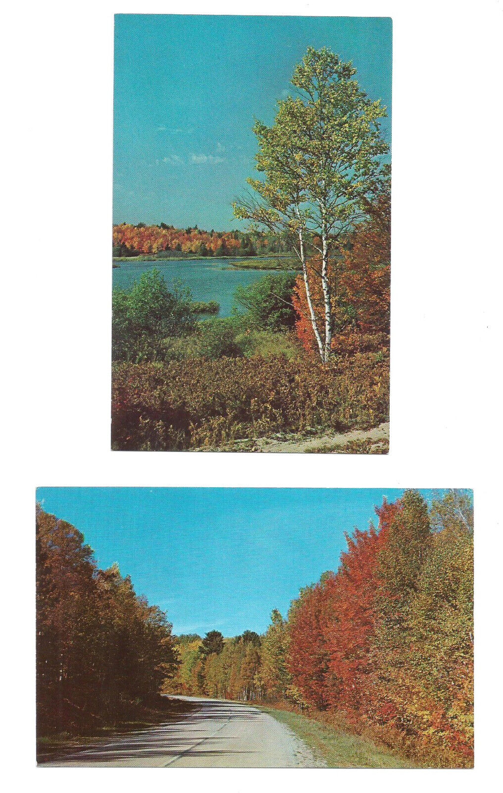 Michigan MI Postcards Autumn Scenic