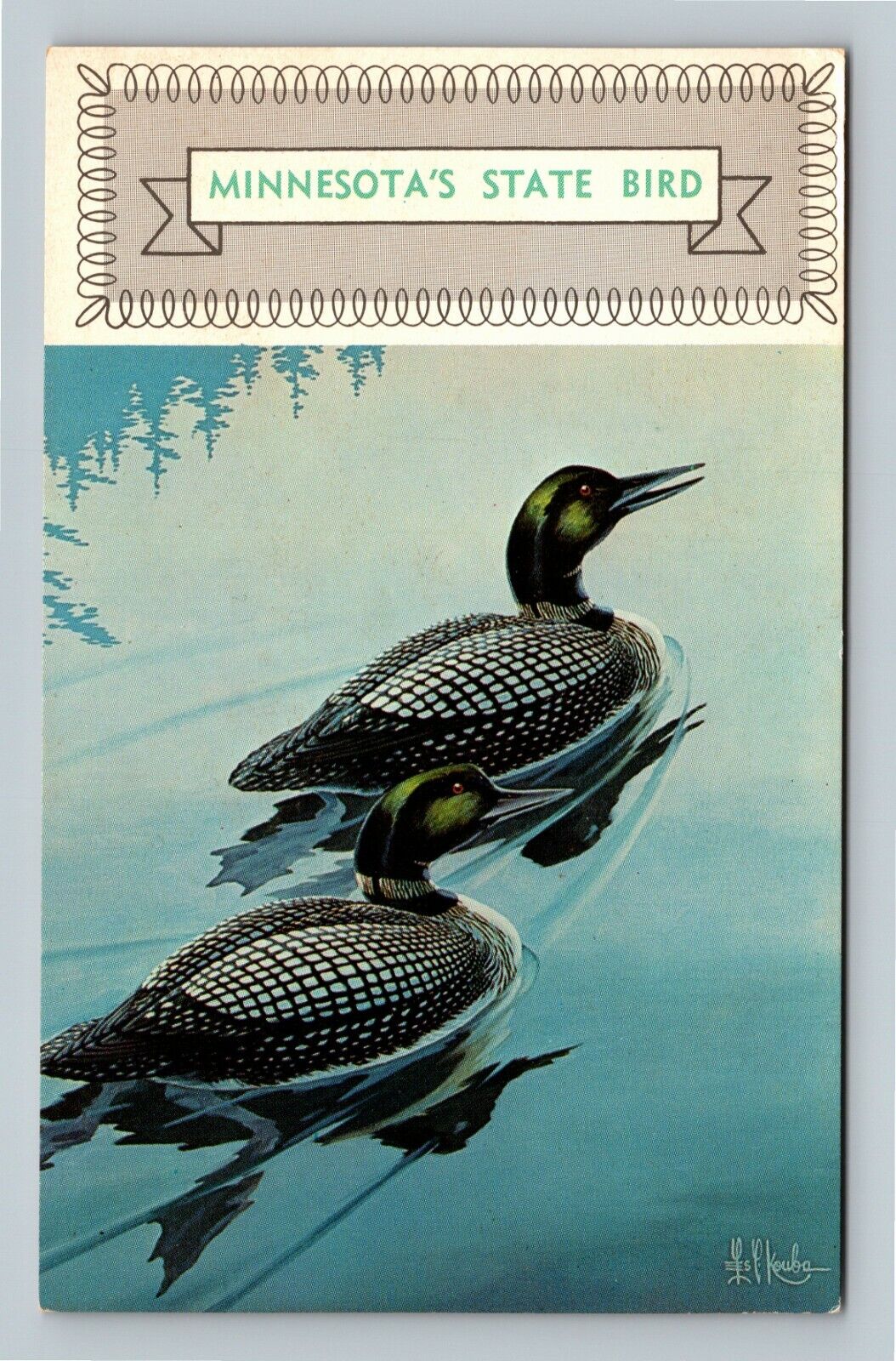 Birds -Pair Of Loons, Official State Bird, Minnesota Vintage Souvenir Postcard