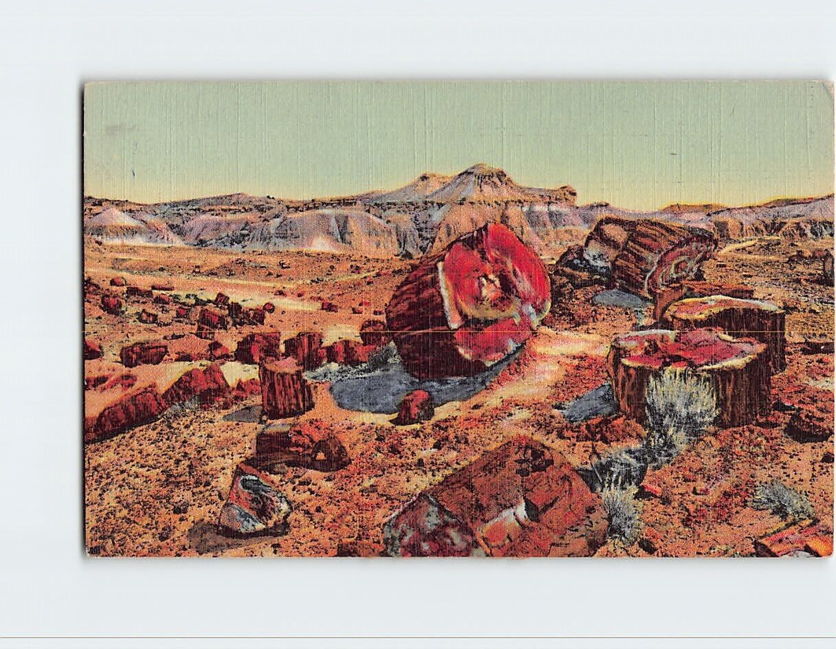 Postcard Petrified Forest, Arizona