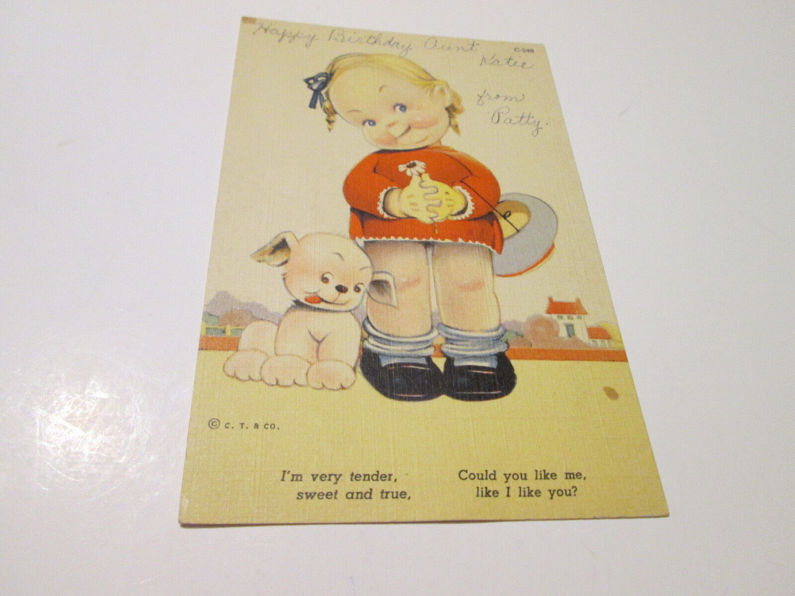1910’s Antique Postcard Girl & Puppy USED