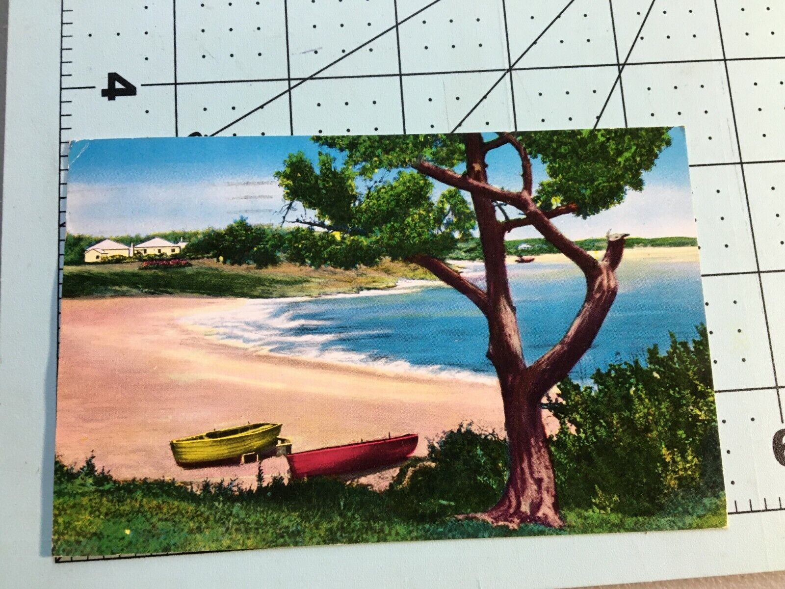 Vintage  1959 Pink Beach  Postcard  - Bermuda 