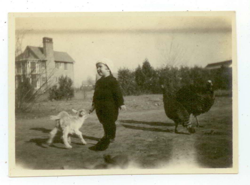 c1930s China photo from missionary collection - mission home child and turkeys