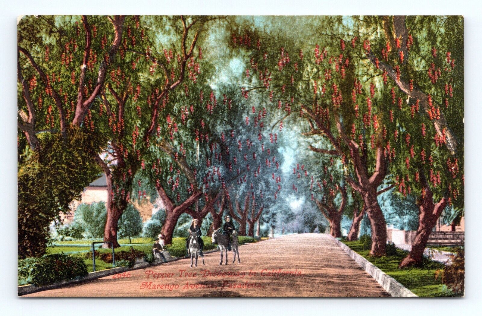 Marengo Avenue Street View Pasadena California CA UNP DB Postcard P15