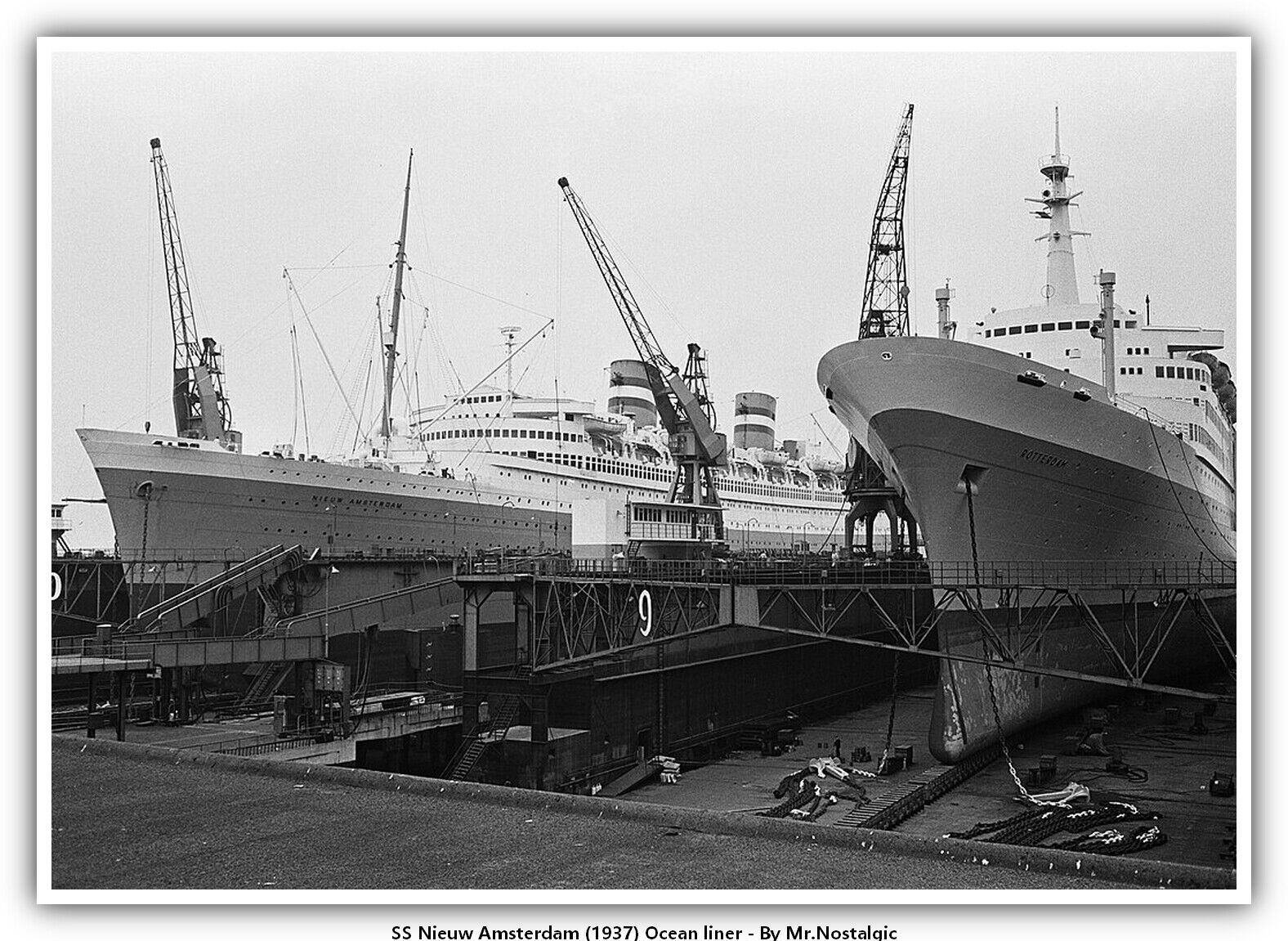SS Nieuw Amsterdam (1937) Ocean liner