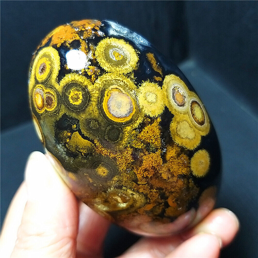 Rare 269G Natural Inner Mongolia Gobi Eye Agate Geode Collection Healing  B378