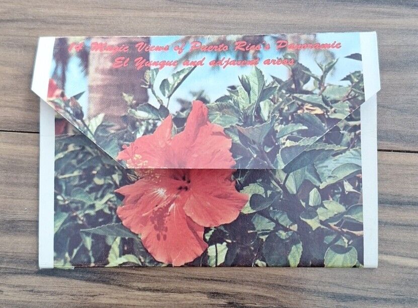 El Yunque Puerto Rico Postal Photo Foldout, Unposted, 14 Views Mailable Booklet