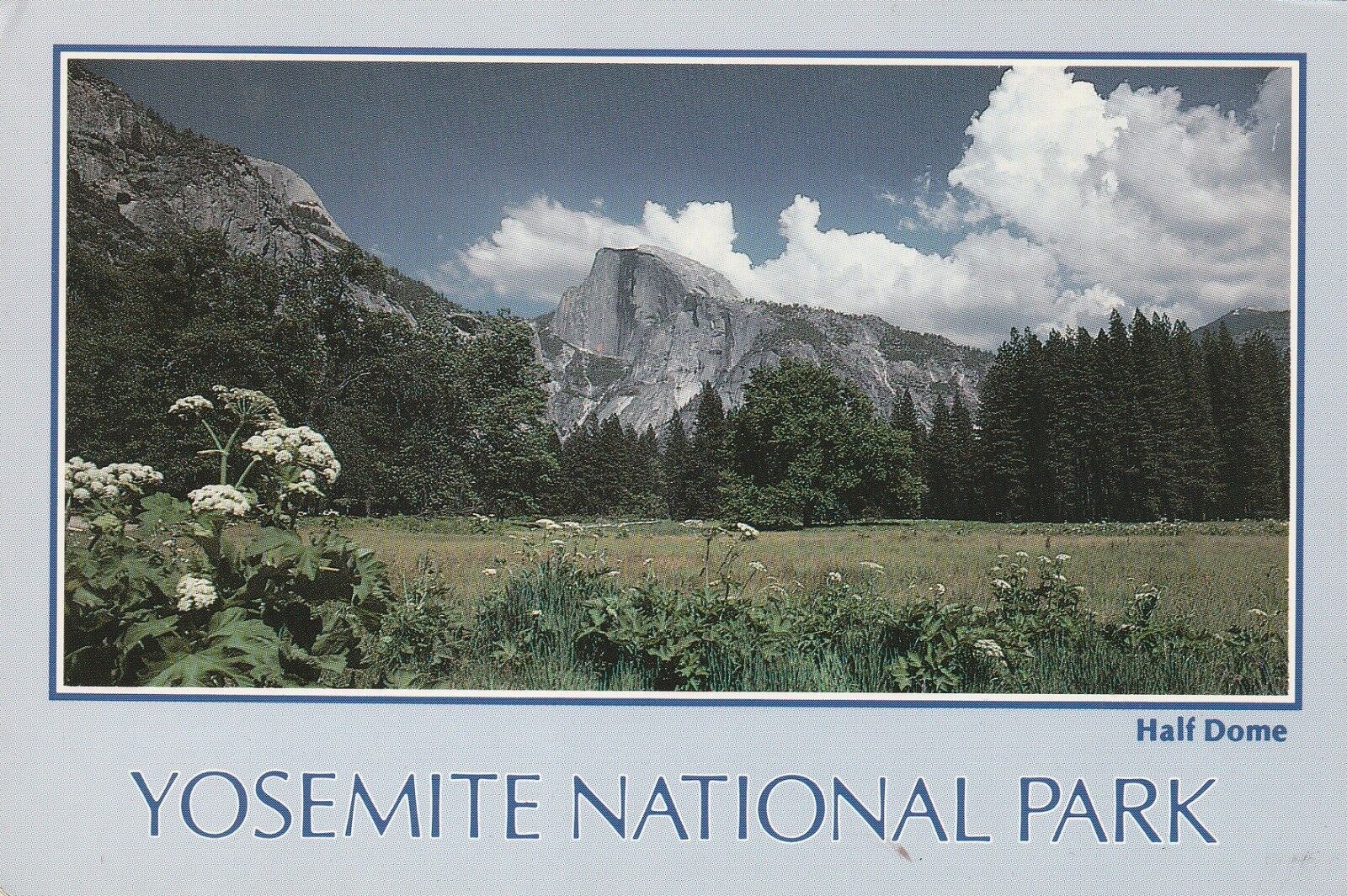 *Yosemite Nat\'l Park Postcard-\
