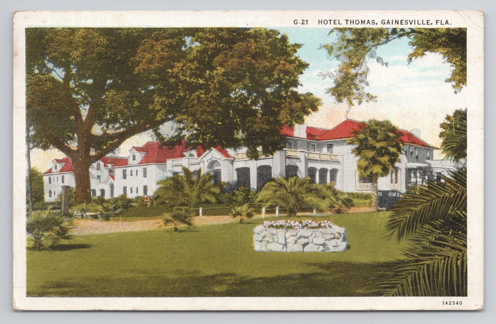 Postcard Hotel Thomas Gainesville Florida 1935