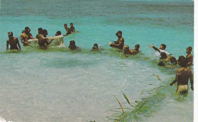 Pacific Ocean, Micronesia, Net Fishing, Fishermen - circa 1960s