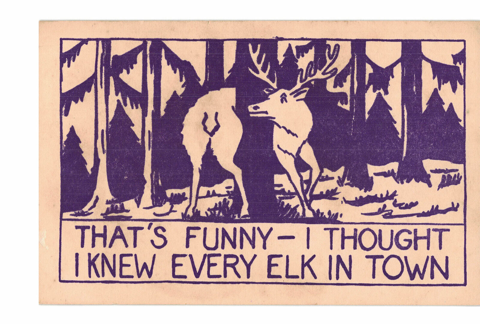 POSTCARD THAT\'S FUNNY, I THOUGHT I KNEW EVERY ELK IN TOWN BPO ELKS HOLLYWOOD FL
