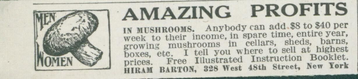 1915 Amazing Profits in Mushrooms Grow In Home Booklet Offer Vtg Print Ad CO5