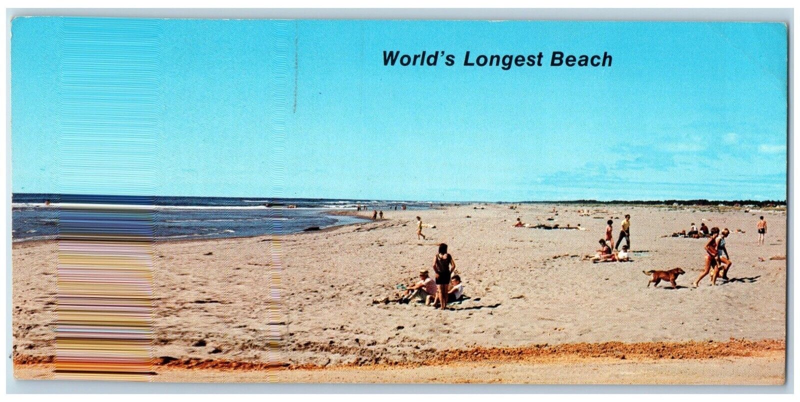 Long Beach Washington WA Postcard World Longest Beach Sun Bathing c1960 Unposted