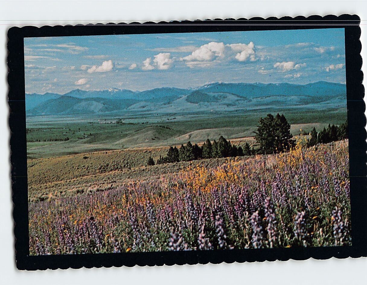 Postcard Bob Marshall Wilderness Area Mountains USA