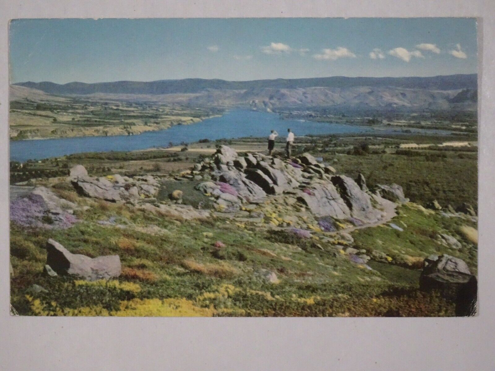 c1954 Union Oil Adv Postcard Wenatchee Valley Apple Orchards WA Posted USA