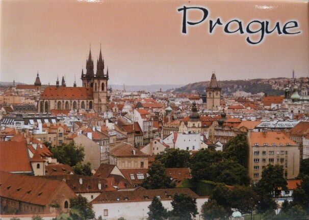 PRAGUE CZECH REPUBLIC FRIDGE COLLECTOR'S SOUVENIR MAGNET 2.5