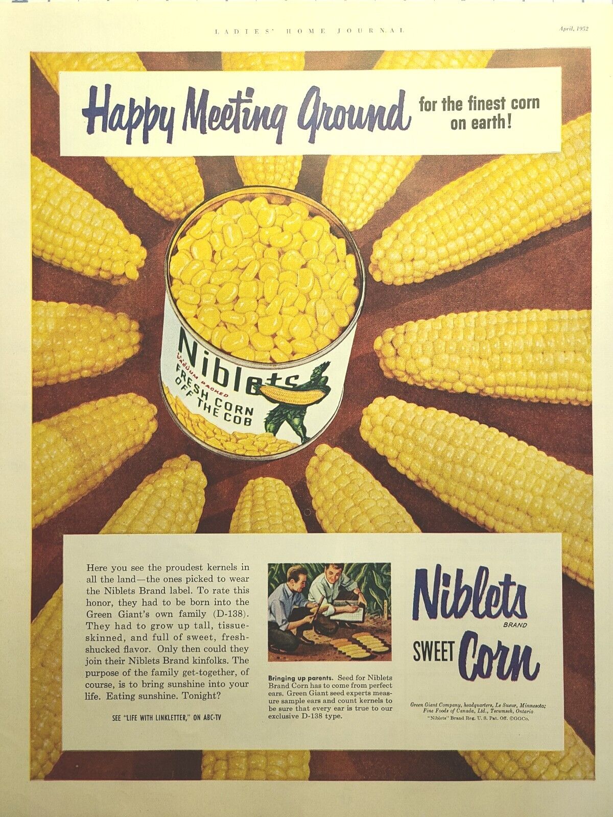 Green Giant Niblets Sweet Corn Ripe Yellow Ears Le Sueur Vintage Print Ad 1952