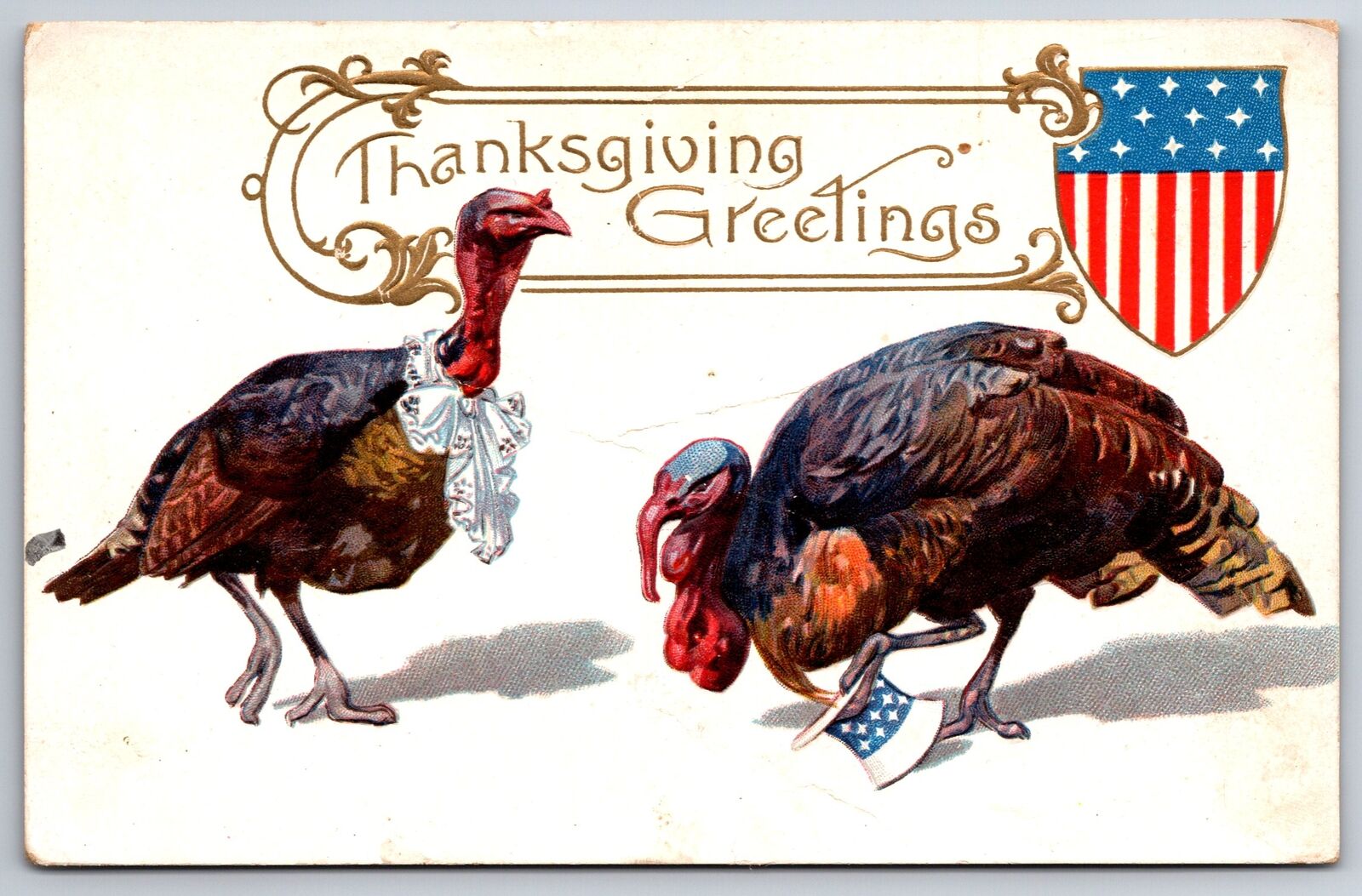 Patriotic Thanksgiving Fantasy~Tom & Hen Turkey~Lace~Uncle Sam Hat~Shield~1910