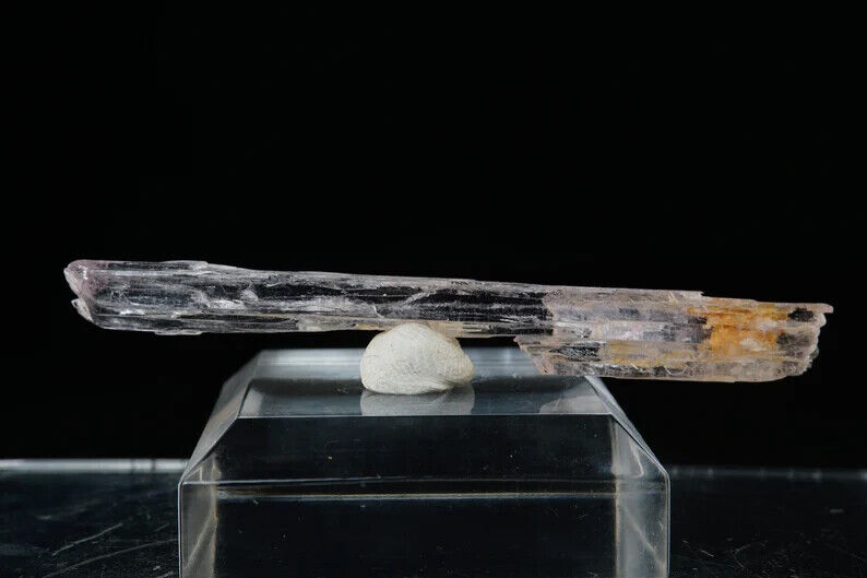 Spodumene var. Kunzite / 6.1cm Mineral Specimen / From Steward Mine, California