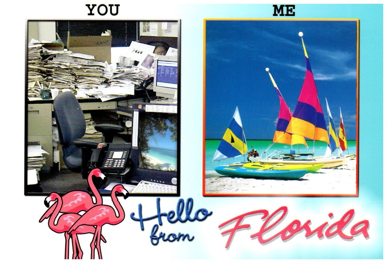 Hello From Florida, Work and Leisure Multiview Postcard
