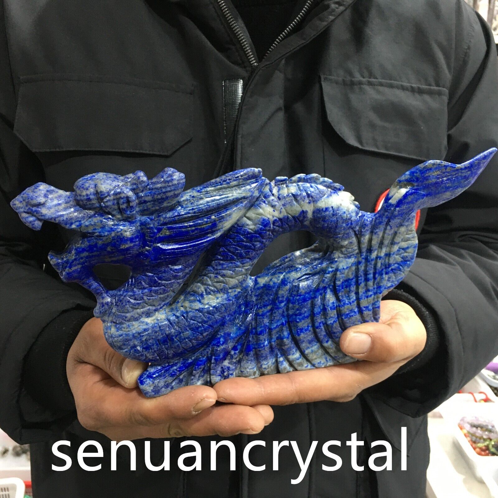 3.98LB Top Natural Lapis Lazuli quartz carved crystal  dragon reiki healing Gem