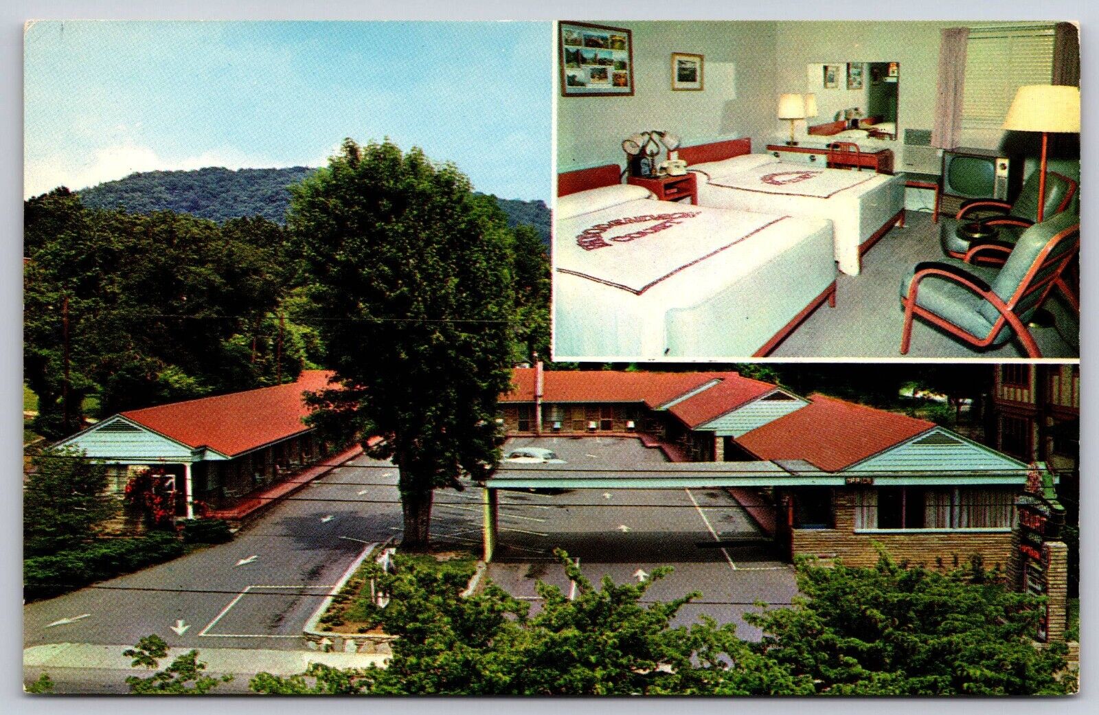 Rhododendron Court Motel Bob Stencil Asheville North Carolina Postcard