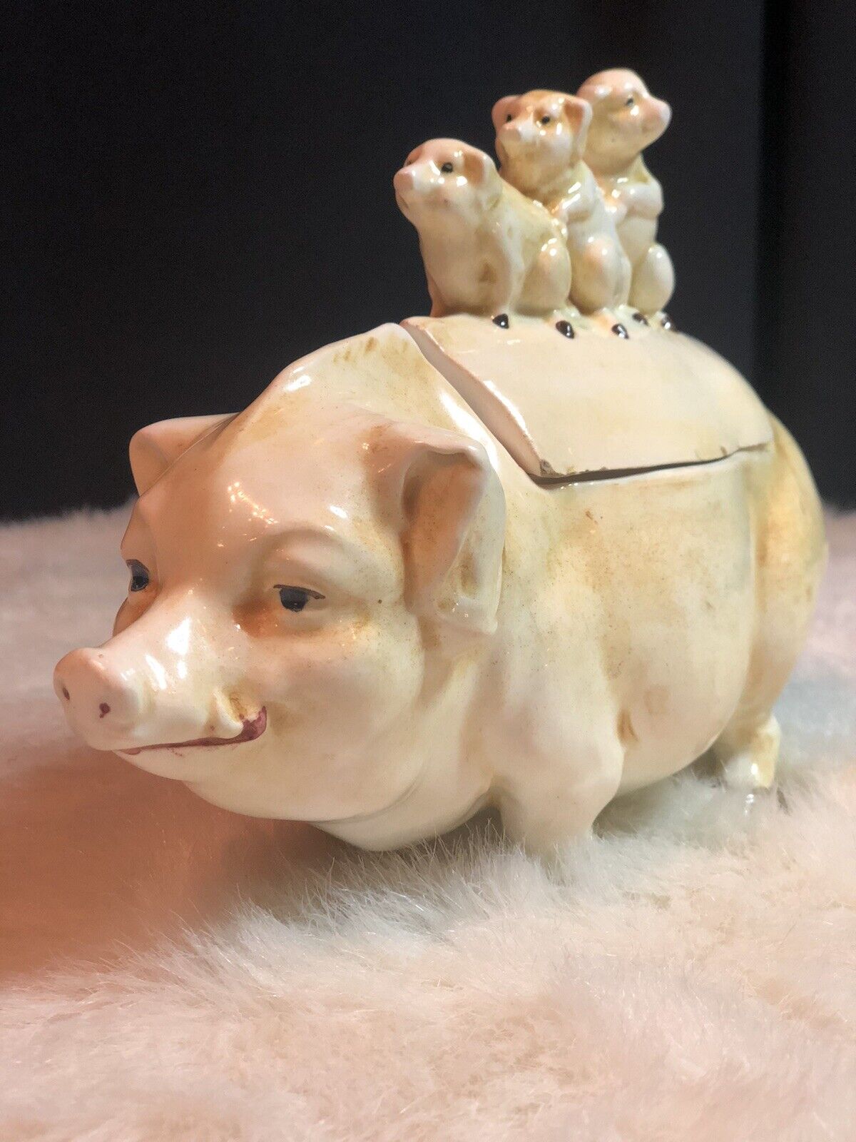 VICTORIAN Stately Mother Pig. Majolica Humidors, from France,Austria,Ger.&Czech