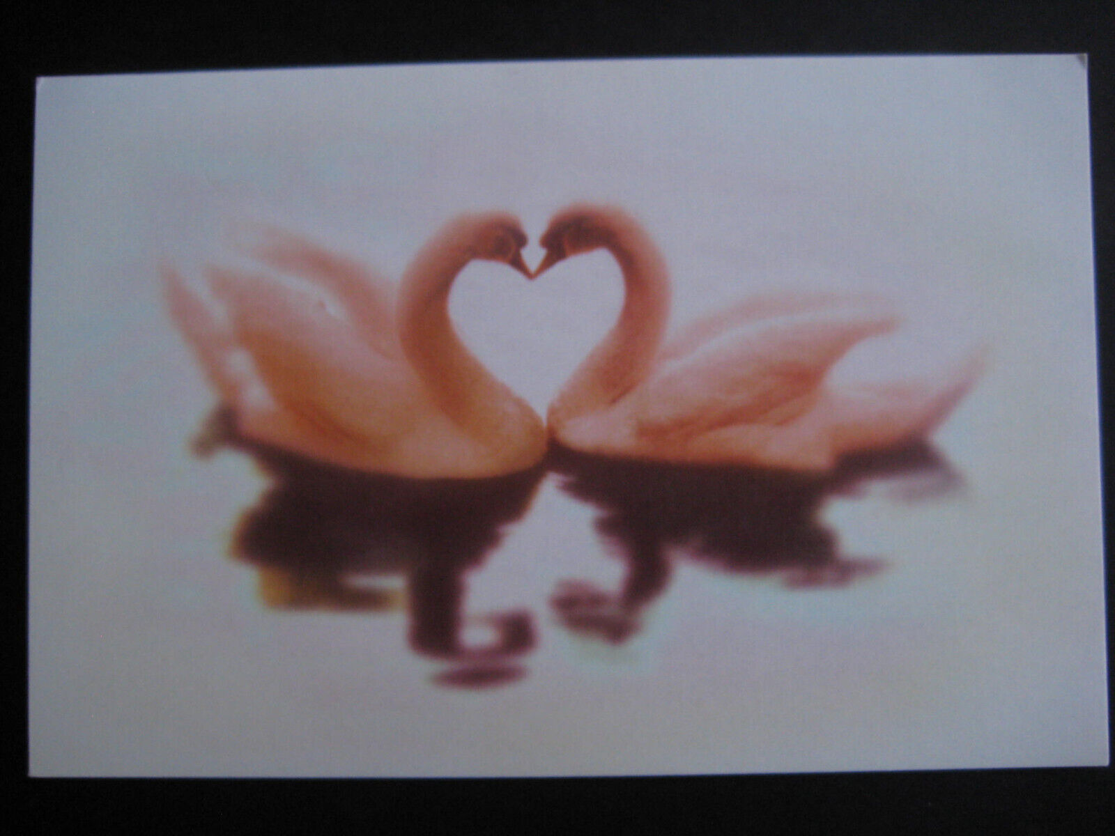 UNUSED vintage greeting card Intuitions VALENTINE Kissing Swans Forming Heart