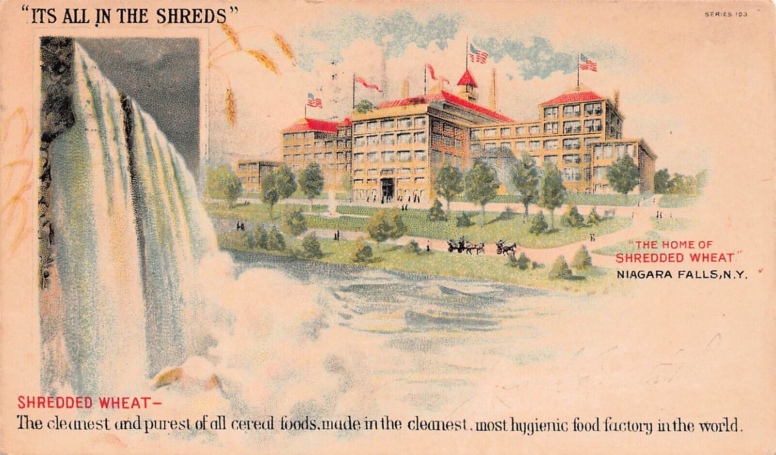 Nabisco Post Shredded Wheat Biscuits Advertising Niagara Falls Vtg Postcard B64