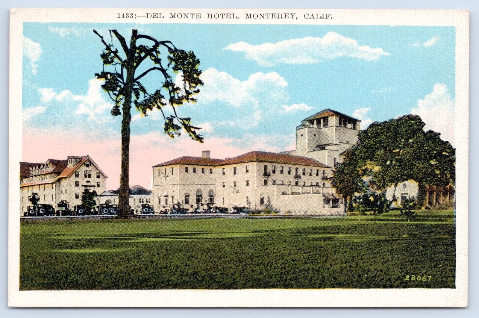 c1910s Monterey California Del Monte Hotel Vintage UNP CA Postcard
