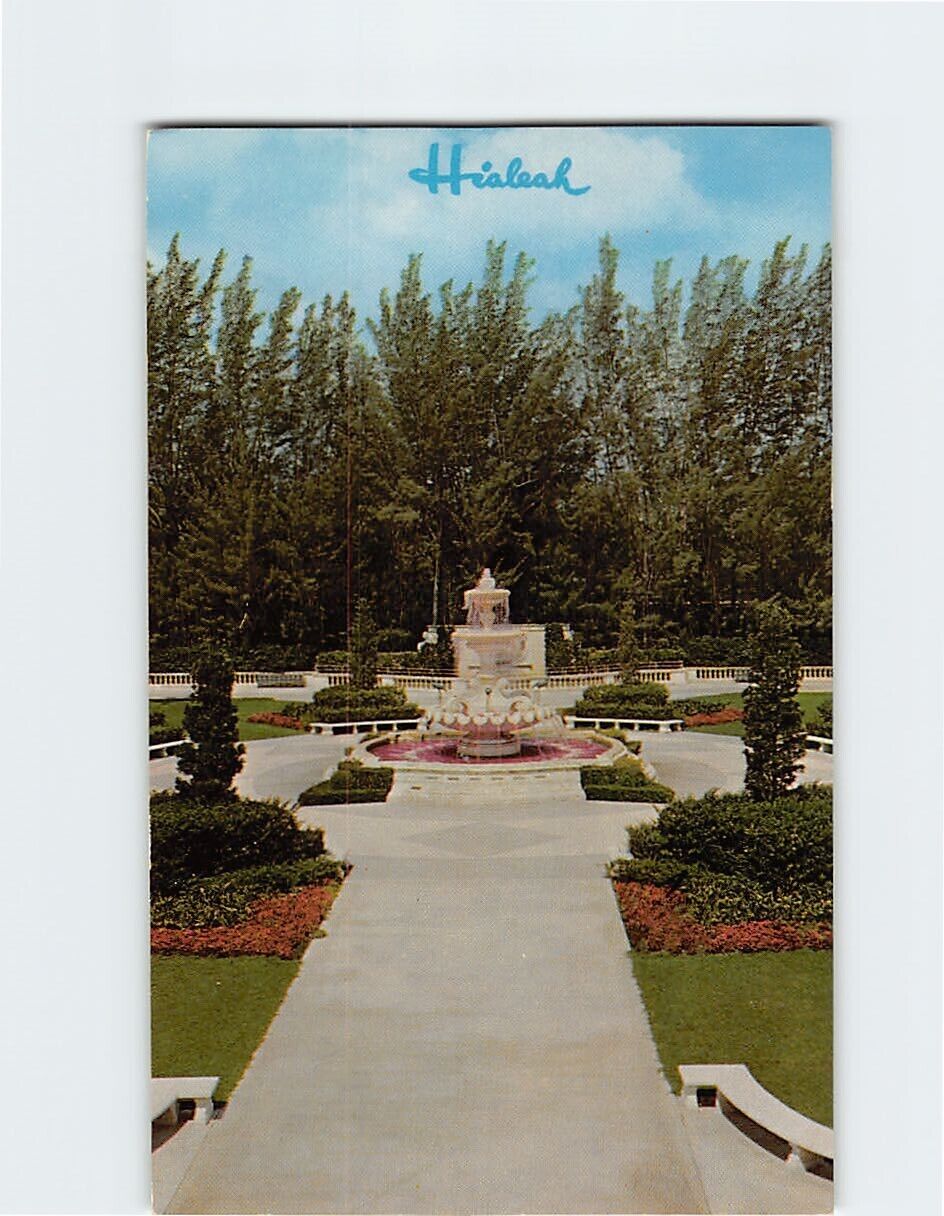 Postcard Beautiful Flamingo Fountain Hialeah Racecourse Miami Florida USA