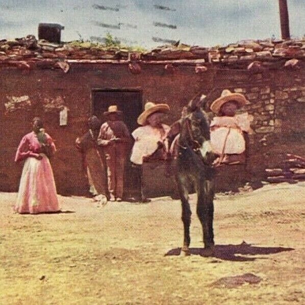 1909 Mexican Kids Babys Riding on Donkey Easy Life Embossed Vintage Postcard