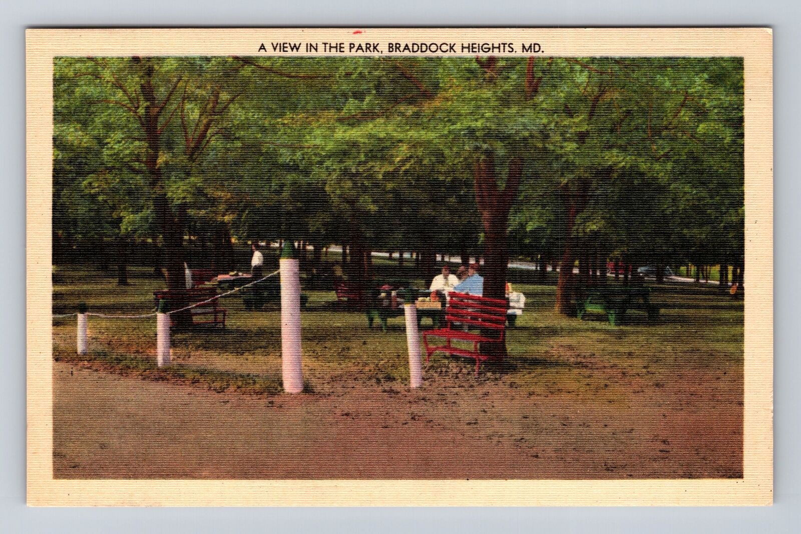Braddock Heights MD-Maryland, View In The Park, Antique, Vintage Postcard