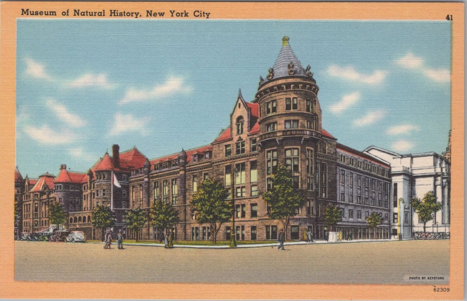 Museum of Natural History New York City Postcard