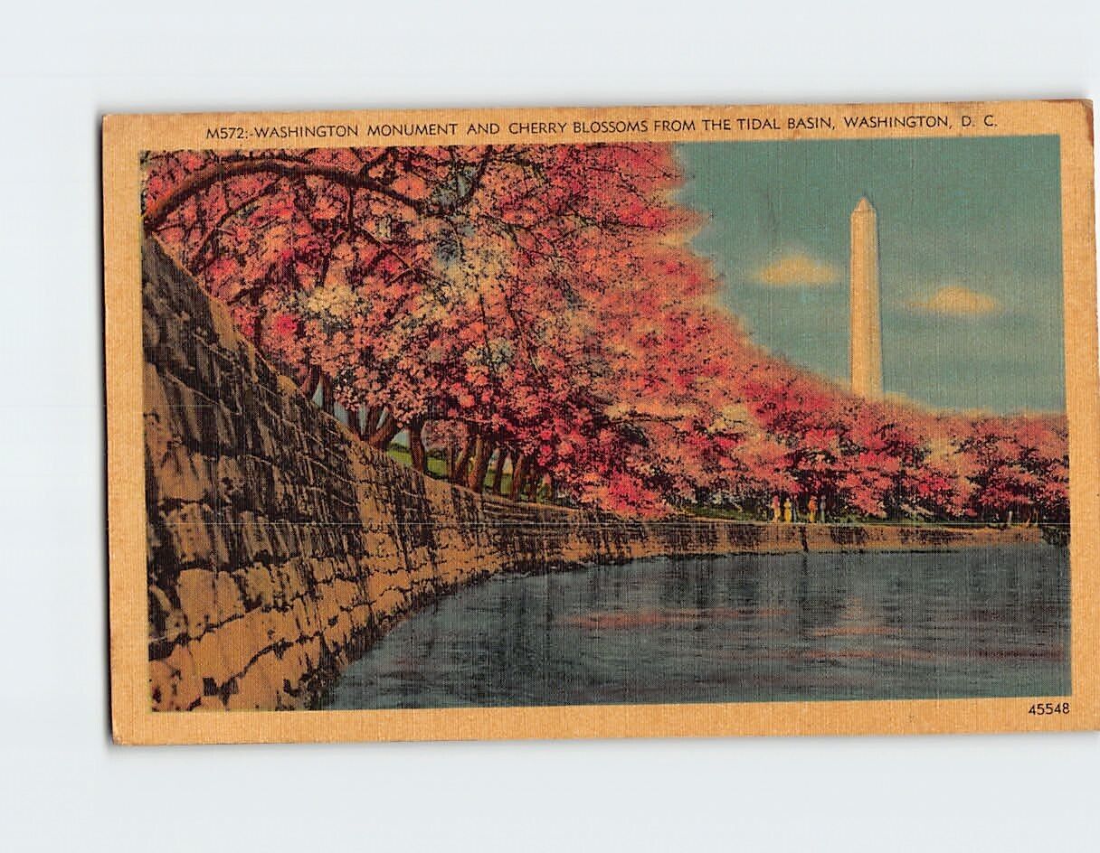Postcard Washington Monument And Cherry Blossoms From The Tidal Basin DC USA