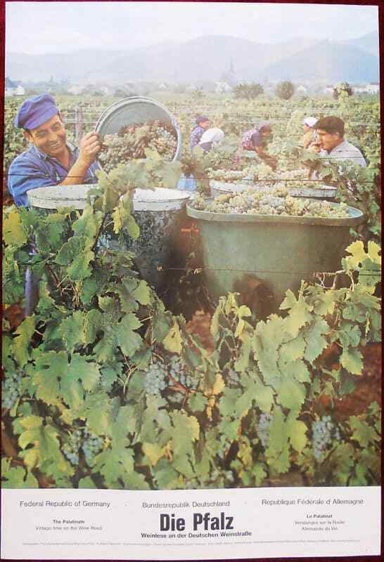 Original Poster Germany Palatinate Pfalz Grape Wine