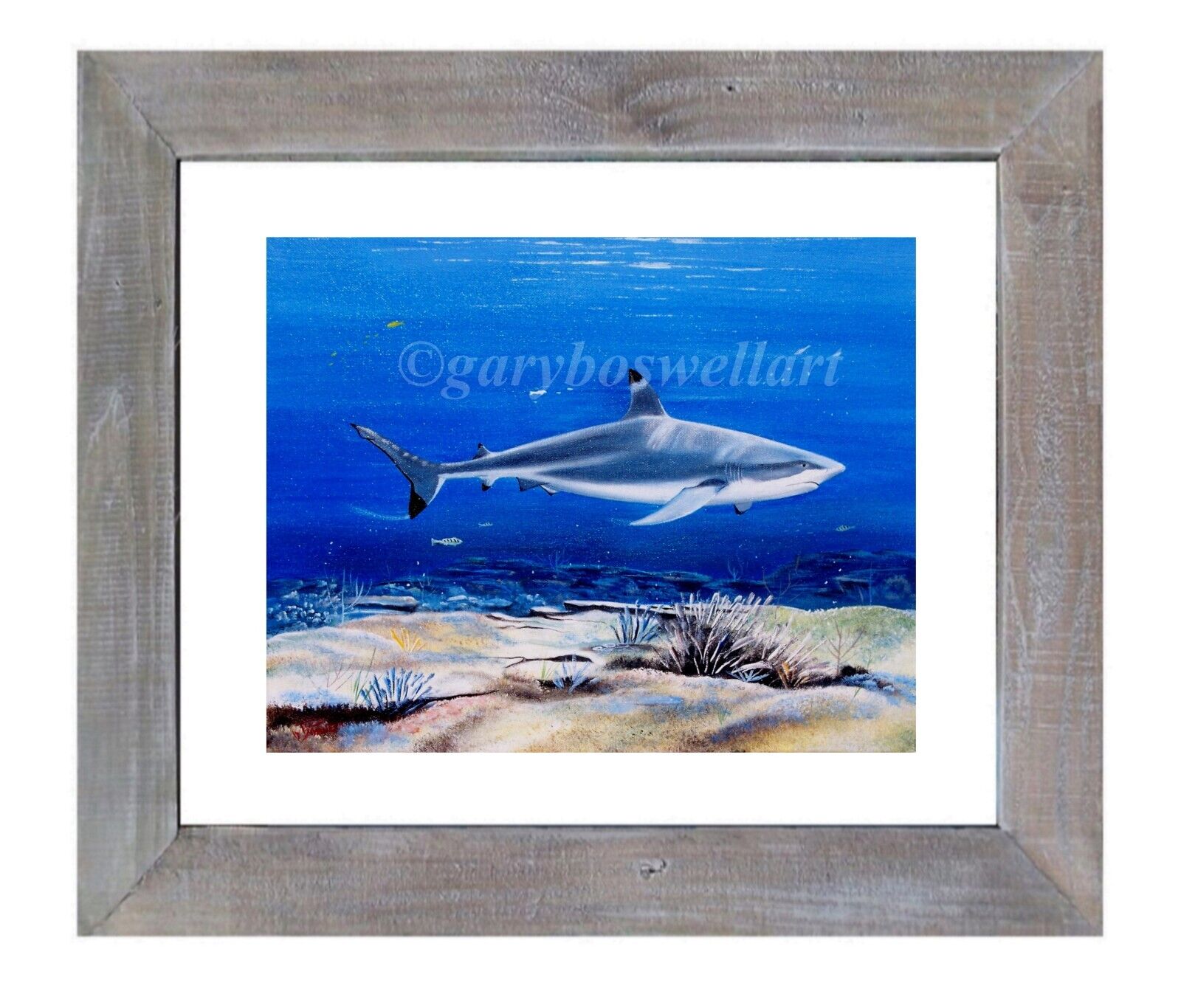 Blacktip Reef Shark S/N limited edition signed framed marine life wall art beach